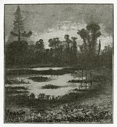 Les Chants du Crépuscule, 19. Jahrhundert von Victor Hugo