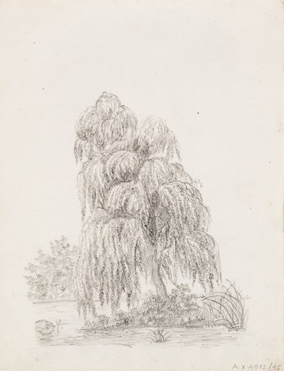 Breitblättriger Baum von Victoria Åberg