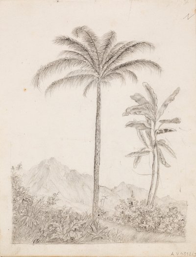 Palmen von Victoria Åberg