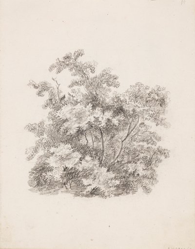 Sträucher von Victoria Åberg