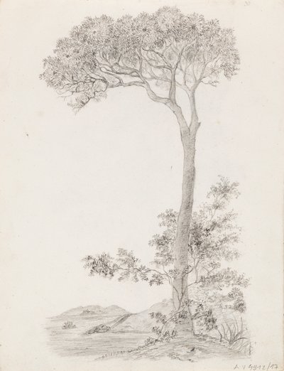 Bäume von Victoria Åberg