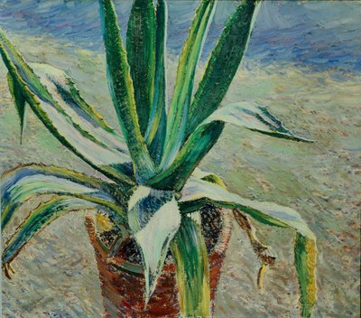 Agave, 1891 von Viktor Elpidiforovich Borisov Musatov