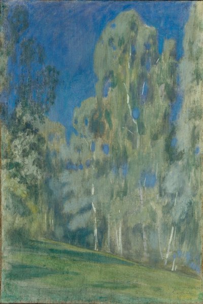 Birken am Mittag, 1903 von Viktor Elpidiforovich Borisov Musatov