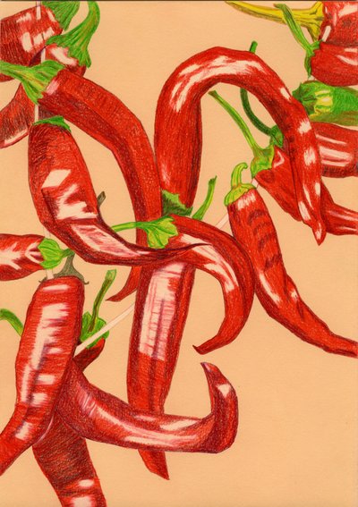 Würzige rote Paprika von Viktoriia Saunina