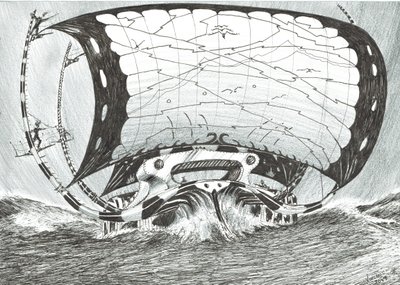 Sturmerschaffer Tschuktschensee von Vincent Alexander Booth