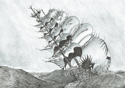 Sturmerschaffer Ostchinesisches Meer, 2017 von Vincent Alexander Booth