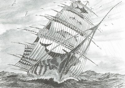 Sturmerschaffer Garabogazkol See von Vincent Alexander Booth