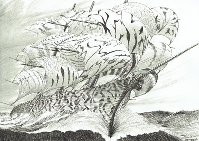 Sturmerschaffer Lake Kariba von Vincent Alexander Booth