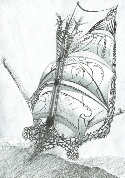 Sturmerschaffer Sibuyansee, 2017 von Vincent Alexander Booth