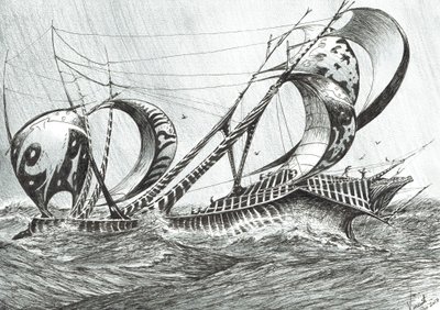 Sturmerschaffer Tyrrhenisches Meer von Vincent Alexander Booth