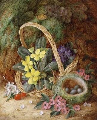 Stillleben mit Primeln und einem Vogelnest von Vincent Clare