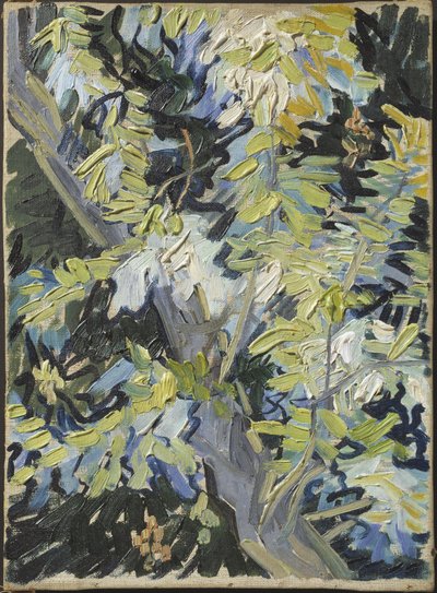 Blühende Akazie von Vincent van Gogh