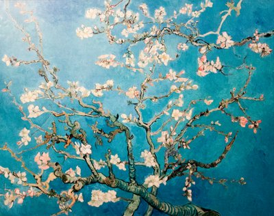 Amandelblüte von Vincent van Gogh