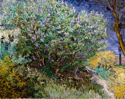Der Fliederbusch. Vincent VAN GOGH (1853-1890) von Vincent van Gogh