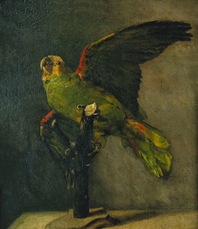 Der grüne Papagei; Le Perroquet Vert, 1885 von Vincent van Gogh