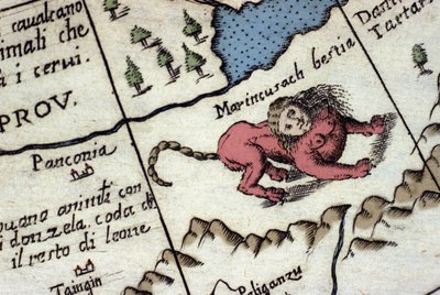 Darstellung eines Mantikors, einer fantastischen Kreatur mit einem menschlichen Kopf (oft mit Hörnern, blauen Augen und drei Zahnreihen), einem Skorpion- oder Drachenschwanz und einem Löwenkörper. Detail einer Weltkarte von Vincenzo Coronelli (1650-1718).  von Vincenzo Maria Coronelli