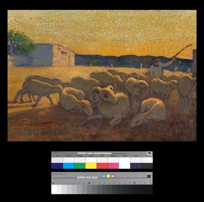 Sonnenuntergang mit Schafen von Vittorio Bolaffio