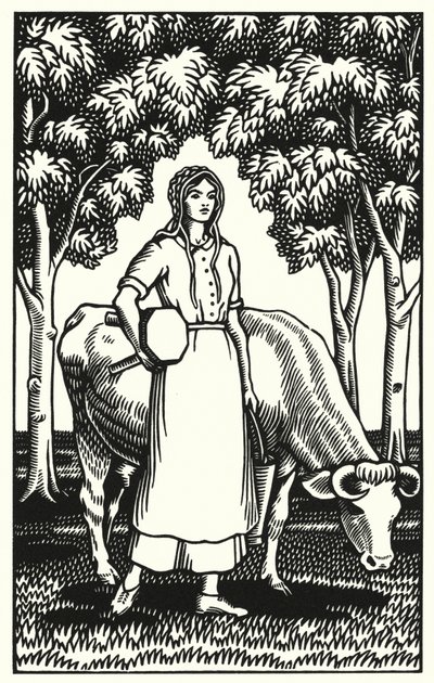 Illustration für Tess von den d