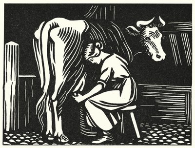 Illustration für Tess von den d