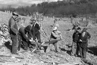 Landarbeiter in einem Maisfeld sägen einen Baumstamm zu Brennholz mit einer Quersäge, die von zwei Männern betrieben wird von Volkmar Wentzel