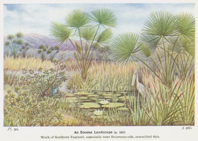 Eine eozäne Landschaft von W. J. Stokoe