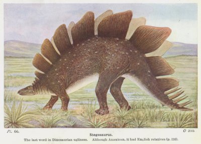 Stegosaurus (Farblithographie) von W. J. Stokoe