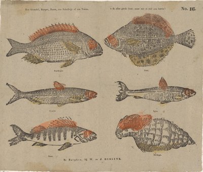 Ein Gründling, Karpfen, Barsch, eine Scholle oder ein Voren von W. and J. Hissink