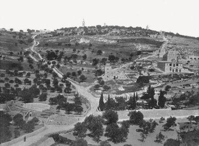 Ölberg, Jerusalem, Palästina von W and S Ltd