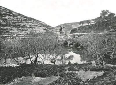 Der Teich von Siloah, Jerusalem, Palästina von W and S Ltd