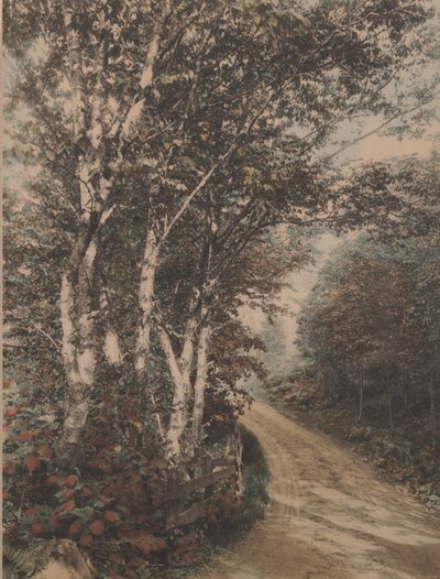 Westmore Drive von Wallace Nutting