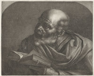 Kale Mann von Wallerant Vaillant