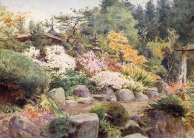Ein Steingarten in Nikko, Kosmos und Ahorn von Walter Frederick Roofe Tyndale