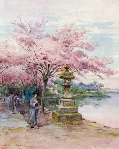 Kirschblüten und Steinlaterne, Ueno Park von Walter Frederick Roofe Tyndale
