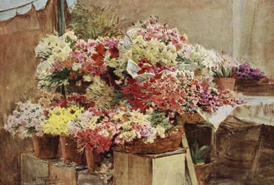Blumenstand, Mentone Markt von Walter Frederick Roofe Tyndale