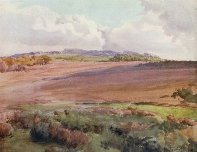 Der New Forest: Über Malwood Walk von der Straße nach Fritham von Walter Frederick Roofe Tyndale