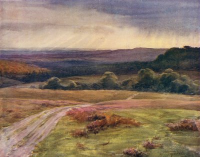 Der New Forest: Boldrewood Walk, Puck Pitts, von der Fritham Straße von Walter Frederick Roofe Tyndale