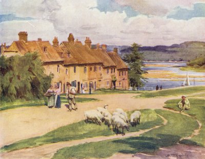 Der New Forest: Buckler