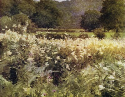 Der New Forest: Mädesüß bei Royden von Walter Frederick Roofe Tyndale
