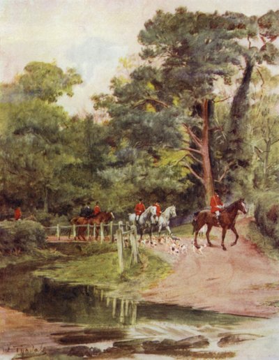 Der New Forest: Minstead Bach von Walter Frederick Roofe Tyndale