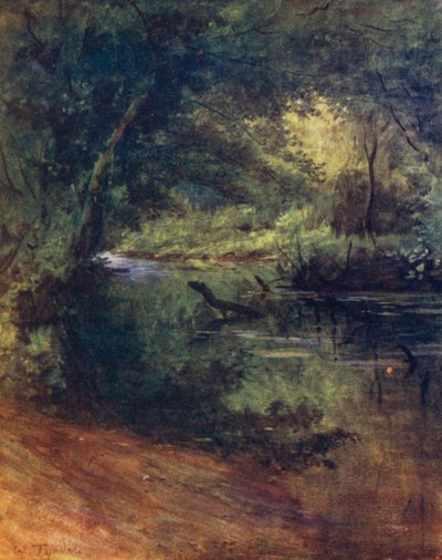 Der New Forest: Northgate, nahe Culverley, im Lodge Walk von Walter Frederick Roofe Tyndale