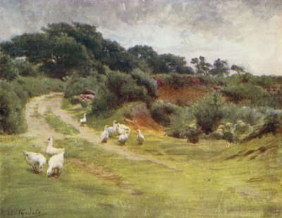 Der New Forest: Royden Common, nahe Brokenhurst von Walter Frederick Roofe Tyndale