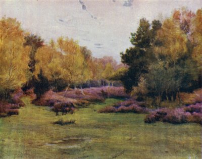 Der New Forest: Rushpole Wood, Lyndhurst von Walter Frederick Roofe Tyndale