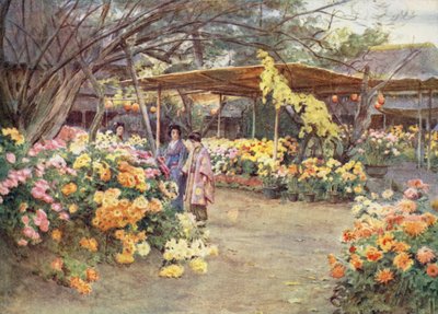 Chrysanthemen betrachten, Mukojima, Tokio von Walter Frederick Roofe Tyndale