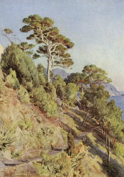 Villa Puma, Sestri Levante von Walter Frederick Roofe Tyndale