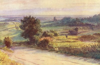 Wessex: Blackmore Vale von Shaftesbury von Walter Frederick Roofe Tyndale