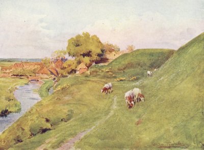 Wessex: Auf den alten Mauern von Wareham von Walter Frederick Roofe Tyndale