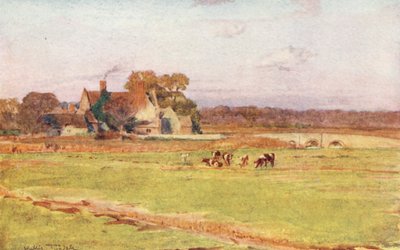 Wessex: Wool Manor House von Walter Frederick Roofe Tyndale