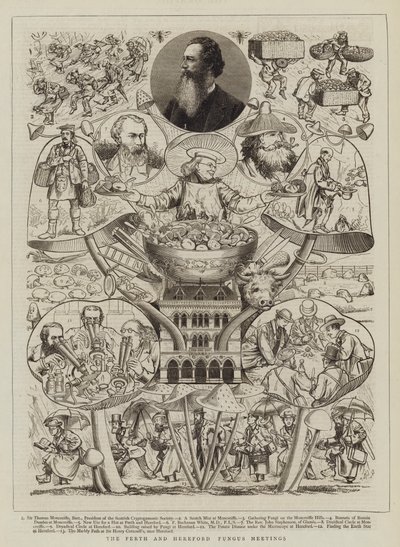 Die Pilztreffen von Perth und Hereford von Walter Granville Smith