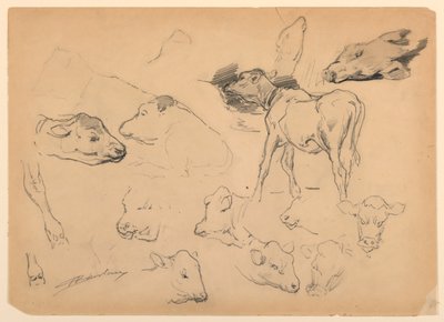 Studien von Rindern, Köpfen von Schafen und einem Schwein von Walter Shirlaw