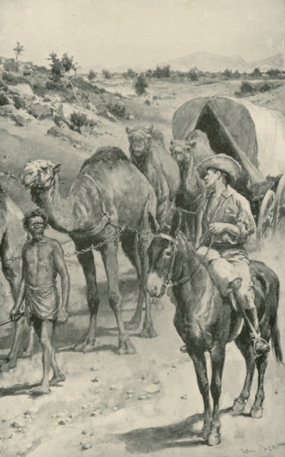 Eine Kamelkarawane, Westaustralien von Walter Stanley Paget